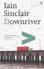 Downriver (Paperback, New ed) - Iain Sinclair Photo