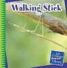 Walking Stick (Paperback) - Tamra Orr Photo