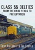 Class 55 Deltics - From the Final Years to Preservation (Paperback) - Colin Alexander Photo