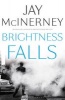 Brightness Falls (Paperback, New edition) - Jay McInerney Photo