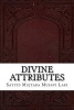 Divine Attributes (Paperback) - Sayyid Mujtaba Musavi Lari Photo