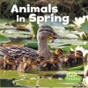 Animals in Spring (Paperback) - Kathryn Clay Photo