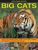 Exploring Nature: Big Cats - Examine the Fearsome Feline World of Lions, Tigers, Cheetahs and Leopards, in More Than 190 Pictures (Hardcover) - Rhonda Klevansky Photo