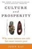 Culture and Prosperity - Why Some Nations Are Rich But Most Remain Poor (Paperback) - John Kay Photo