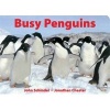 Busy Penguins (Board book) - John Schindel Photo