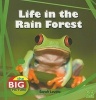 Life in the Rain Forest (Paperback) - Sarah Levete Photo