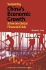 Sustaining China's Economic Growth (Paperback, New) - Nicholas R Lardy Photo