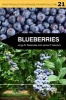 Blueberries (Paperback, New) - J B Retamales Photo