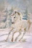 A White Horse Running Through the Snow Watercolor Art Journal - 150 Page Lined Notebook/Diary (Paperback) - Cs Creations Photo