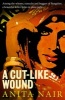 A Cut-like Wound (Paperback) - Anita Nair Photo