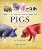 The Illustrated Guide to Pigs - How to Choose Them, How to Keep Them (Hardcover) - Celia Lewis Photo