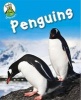 Penguins (Paperback, Illustrated edition) - Annabelle Lynch Photo