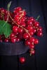 Ripe Red Currents in a Wooden Bowl Journal - 150 Page Lined Notebook/Diary (Paperback) - Cs Creations Photo