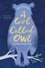 A Girl Called Owl (Paperback, Main Market Ed.) -  Photo