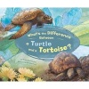 What's the Difference Between a Turtle and a Tortoise? (Hardcover) - Trisha Speed Shaskan Photo