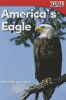 America's Eagle (Foundations) (Paperback) - Dona Rice Photo