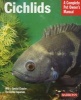 Cichlids - Everything About Purchase, Care, Nutrition, Reproduction and Behavior (Paperback, 2nd Revised edition) - Georg Zurlo Photo