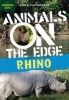 Rhino (Paperback) - Anna Claybourne Photo