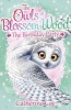 Owls of Blossom Wood: The Birthday Party, 4 (Paperback) - Catherine Coe Photo