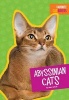 Abyssinian Cats (Hardcover) - Mari C Schuh Photo