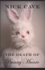 The Death of Bunny Munro (Hardcover, Main) - Nick Cave Photo