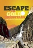 Escape to Gold Mountain - A Graphic History of the Chinese in North America (Paperback, New) - David H T Wong Photo