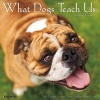 What Dogs Teach Us Mini Wall Calendar (Calendar) - Glenn Drumgoole Photo