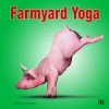 Farmyard Yoga (Hardcover) - Willow Creek Press Photo