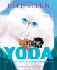 Yoda - The Story of a Cat and His Kittens (Hardcover) - Beth Stern Photo