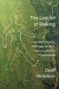 The Lost Art of Walking - The History, Science, Philosophy, Literature, Theory and Practice of Pedestrianism (Paperback) - Geoff Nicholson Photo