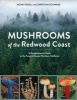 Mushrooms of the Redwood Coast - A Comprehensive Guide to the Fungi of Coastal Northern California (Paperback) - Noah Siegel Photo