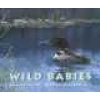 Wild Babies (Hardcover) - Margriet Ruurs Photo