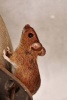 A Cute Little Brown Mouse Looking for Food - Blank 150 Page Lined Journal for Your Thoughts, Ideas, and Inspiration (Paperback) - Unique Journal Photo