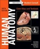 Human Anatomy, Color Atlas and Textbook - With Student Consult Online Access (Paperback, 6th Revised edition) - John A Gosling Photo