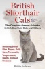 British Shorthair Cats, the Complete Owners Guide to British Shorthair Cats and Kittens Including British Blue, Buying, Daily Care, Personality, Temperament, Health, Diet and Breeders (Paperback) - Colette Anderson Photo