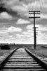 Train Tracks and Power Lines in Black and White - Blank 150 Page Lined Journal for Your Thoughts, Ideas, and Inspiration (Paperback) - Unique Journal Photo