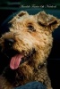 Airedale Terrier 6th Notebook (Paperback) - Breeds of Beauty Photo