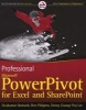 Professional Microsoft PowerPivot for Excel and SharePoint - With Microsoft Office 2010 and SQL Server Gemini (Paperback) - Sivakumar Harinath Photo