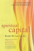 Spiritual Capital - Wealth We Can Live by (Hardcover) - Danah Zohar Photo