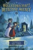 The Case of the Girl in Grey (the Wollstonecraft Detective Agency, Book 2) (Paperback) - Jordan Stratford Photo