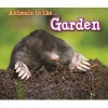 Animals in the Garden (Paperback) - Sian Smith Photo