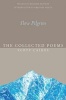 Slow Pilgrim - The Collected Poems of  (Paperback) - Scott Cairns Photo