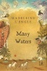 Many Waters (Paperback) - Madeleine LEngle Photo