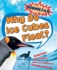 Why Do Ice Cubes Float? Questions and Answers About the Science of Everyday Materials (Paperback, Illustrated edition) - Thomas Canavan Photo