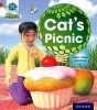 Project x: Alien Adventures: Red: Cat's Picnic (Paperback) - Alison Hawes Photo