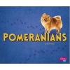 Pomeranians (Hardcover) - Allan Morey Photo