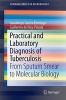 Practical and Laboratory Diagnosis of Tuberculosis 2015 - From Sputum Smear to Molecular Biology (Paperback) - Guadalupe Garcia Elorriaga Photo