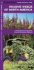 Invasive Weeds of North America - A Folding Pocket Guide to Invasive & Noxious Species (Pamphlet) - James Kavanagh Photo