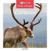 Caribou (Hardcover) - Leo Statts Photo