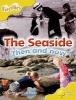 Oxford Reading Tree: Level 5: More Fireflies A: The Seaside (Paperback) - Liz Paren Photo